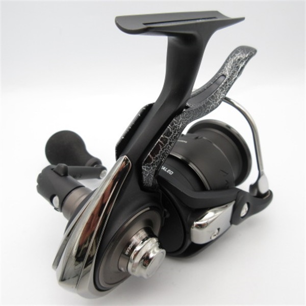 ２５銀狼ＬＢＱＤ